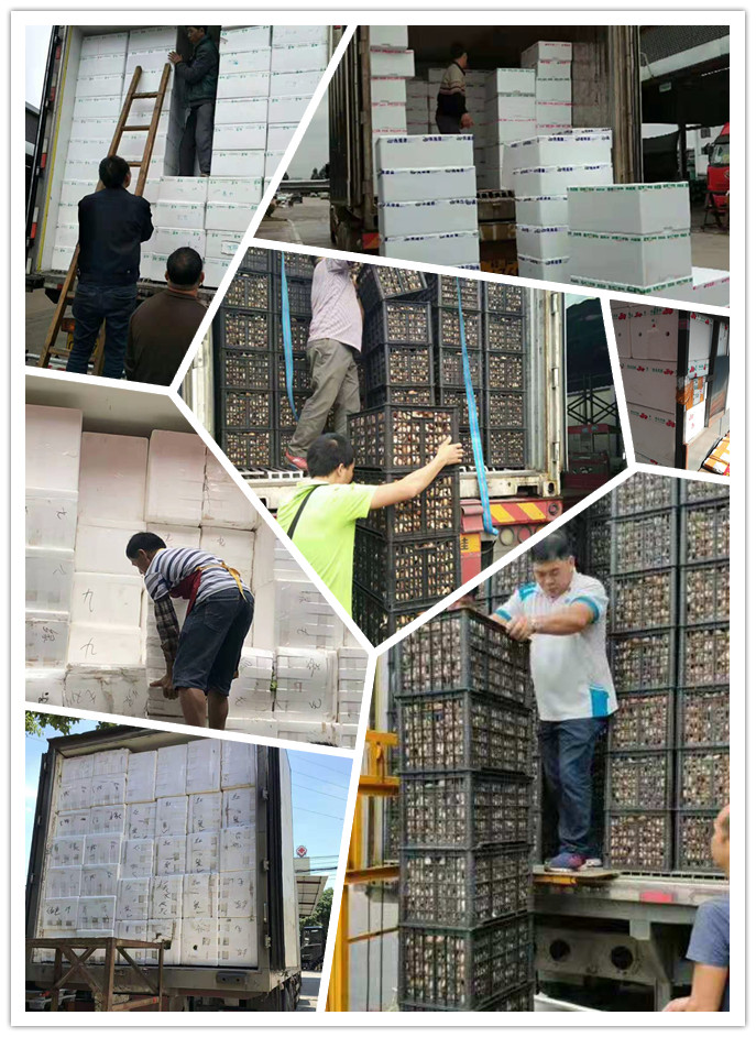 manbet官网-相信品牌力量