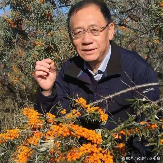 manbet官网-相信品牌力量