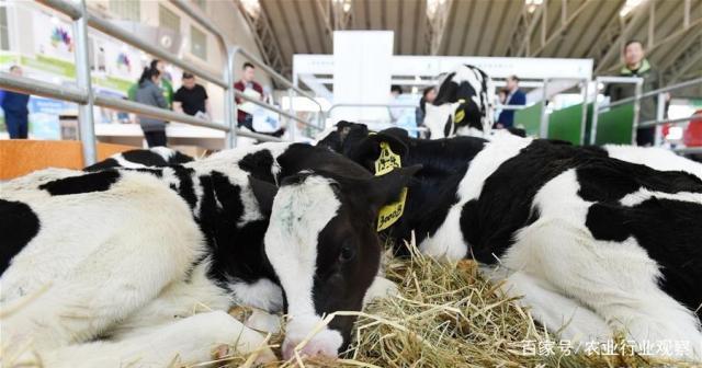 manbet官网-相信品牌力量