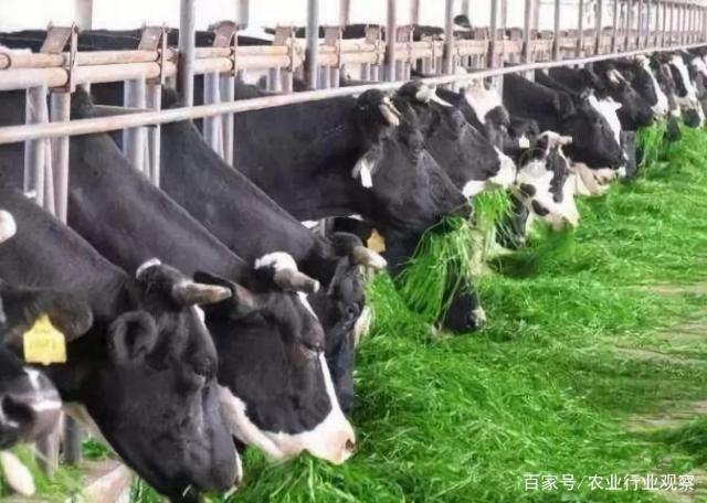 manbet官网-相信品牌力量