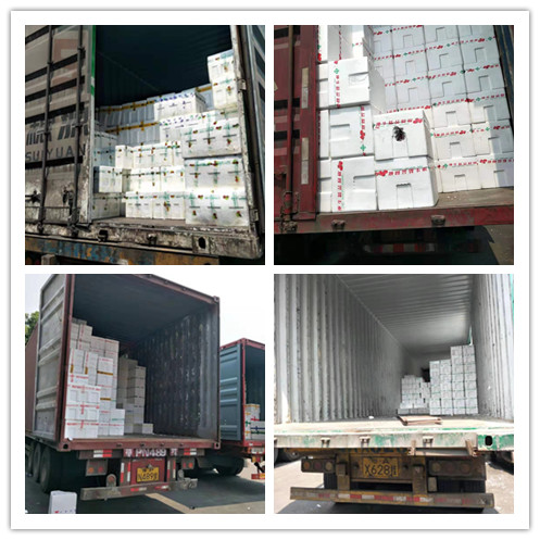 manbet官网-相信品牌力量