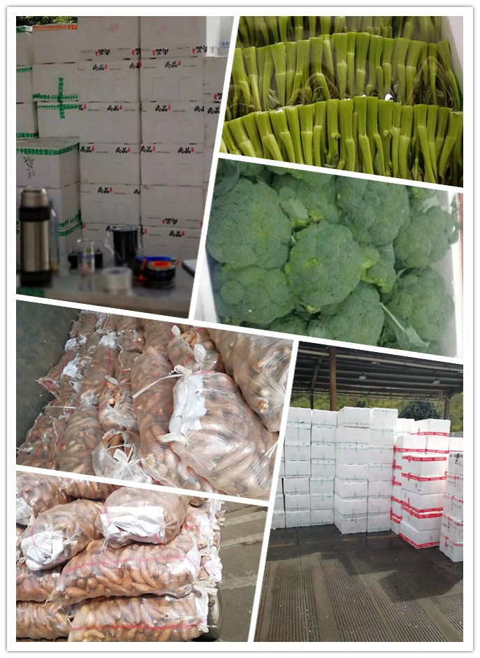 manbet官网-相信品牌力量