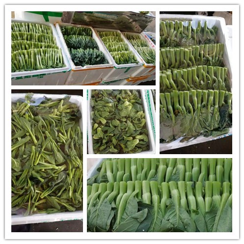 manbet官网-相信品牌力量