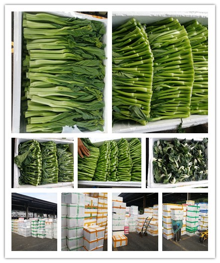 manbet官网-相信品牌力量