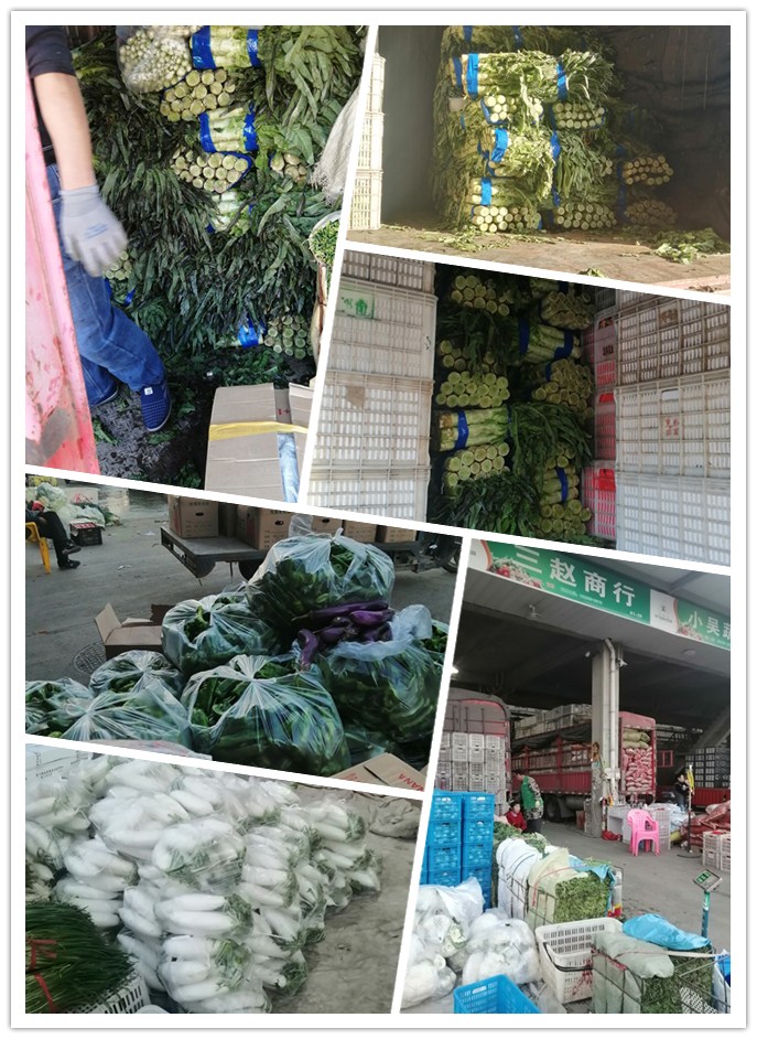 manbet官网-相信品牌力量