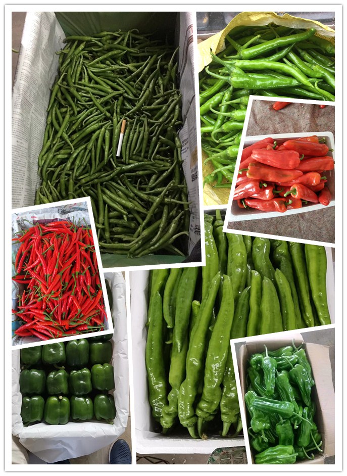 manbet官网-相信品牌力量