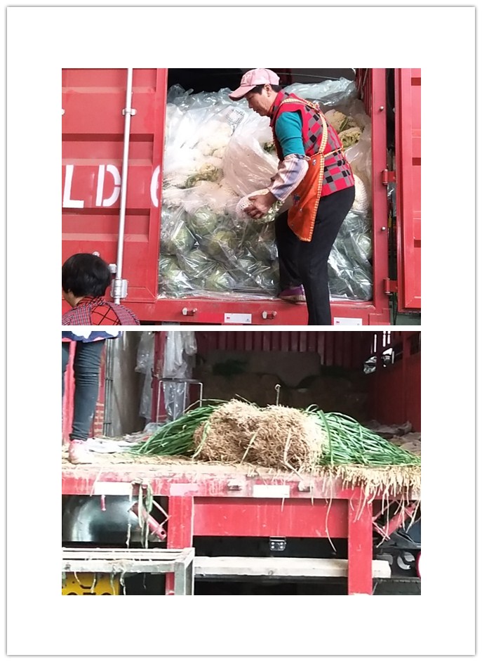 manbet官网-相信品牌力量