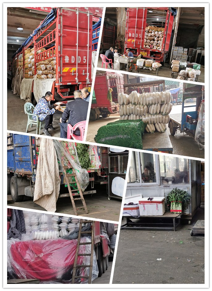 manbet官网-相信品牌力量