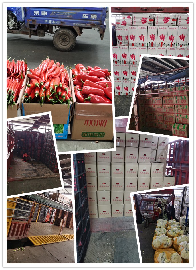 manbet官网-相信品牌力量