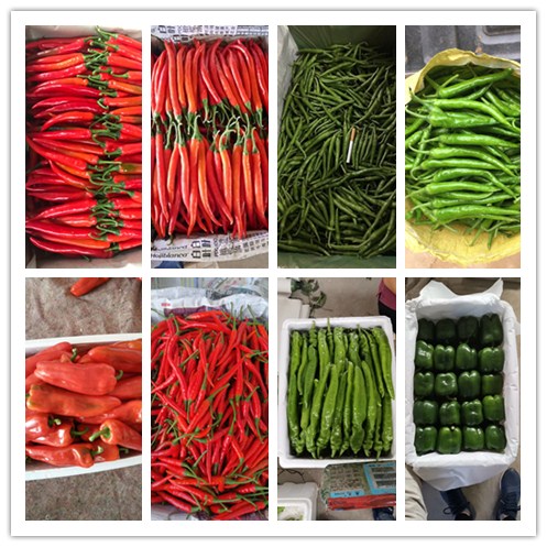 manbet官网-相信品牌力量