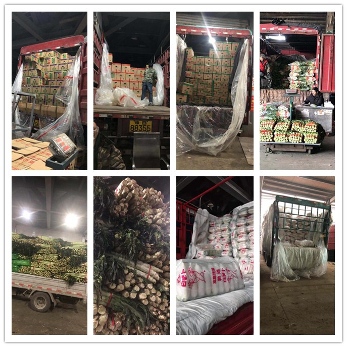 manbet官网-相信品牌力量