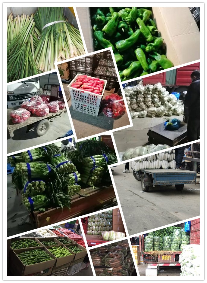 manbet官网-相信品牌力量