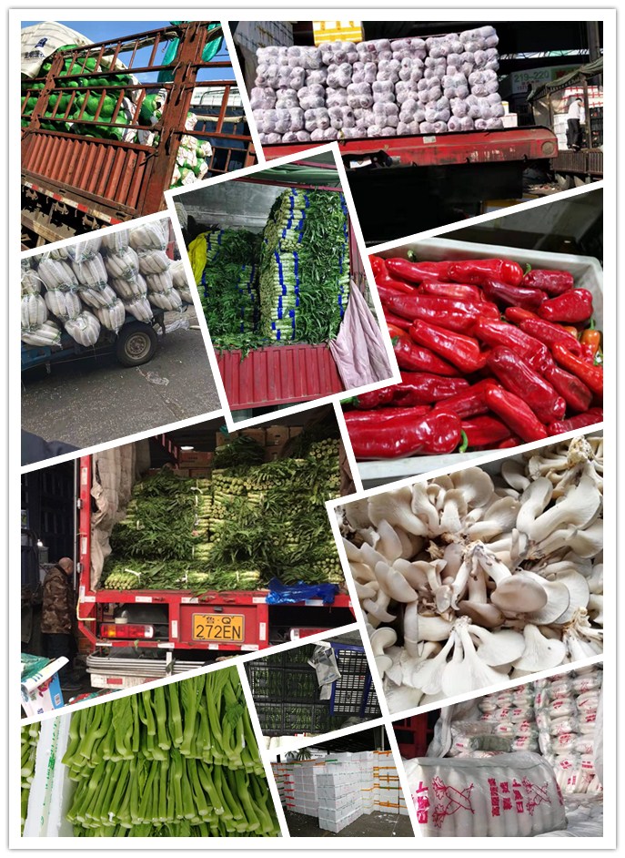 manbet官网-相信品牌力量