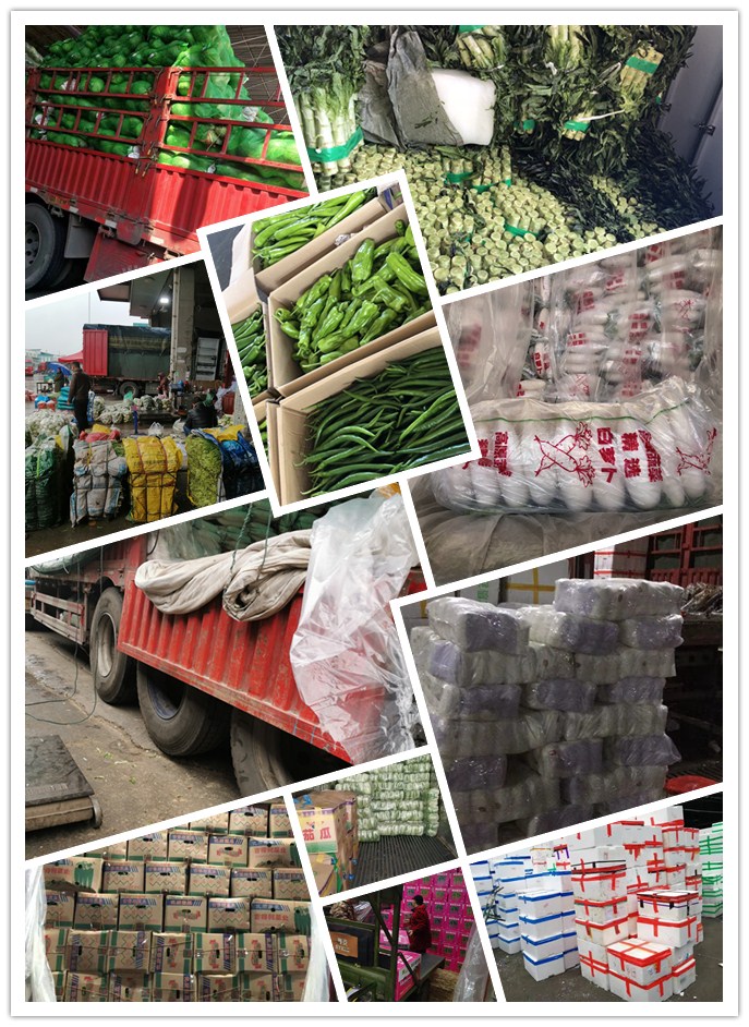 manbet官网-相信品牌力量