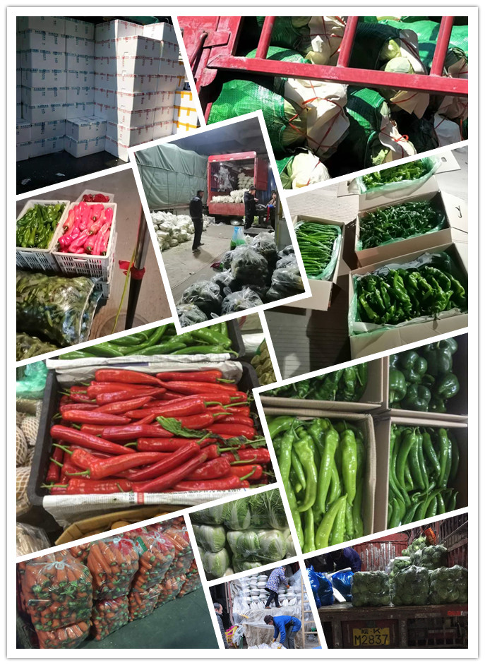 manbet官网-相信品牌力量