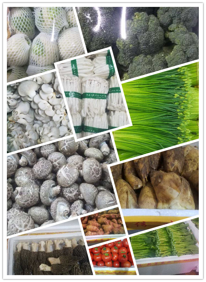 manbet官网-相信品牌力量