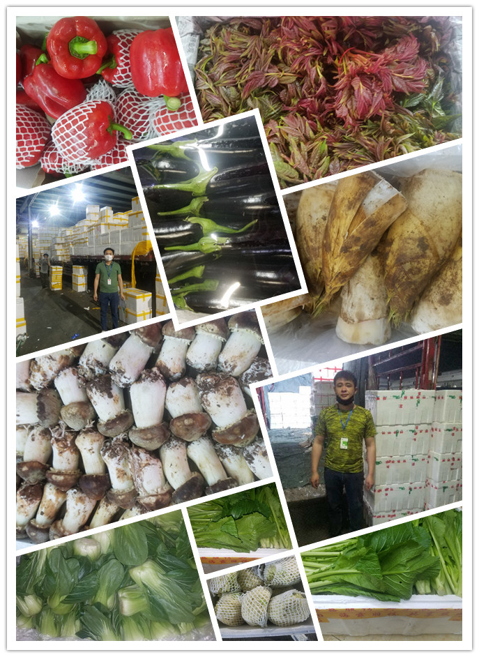 manbet官网-相信品牌力量