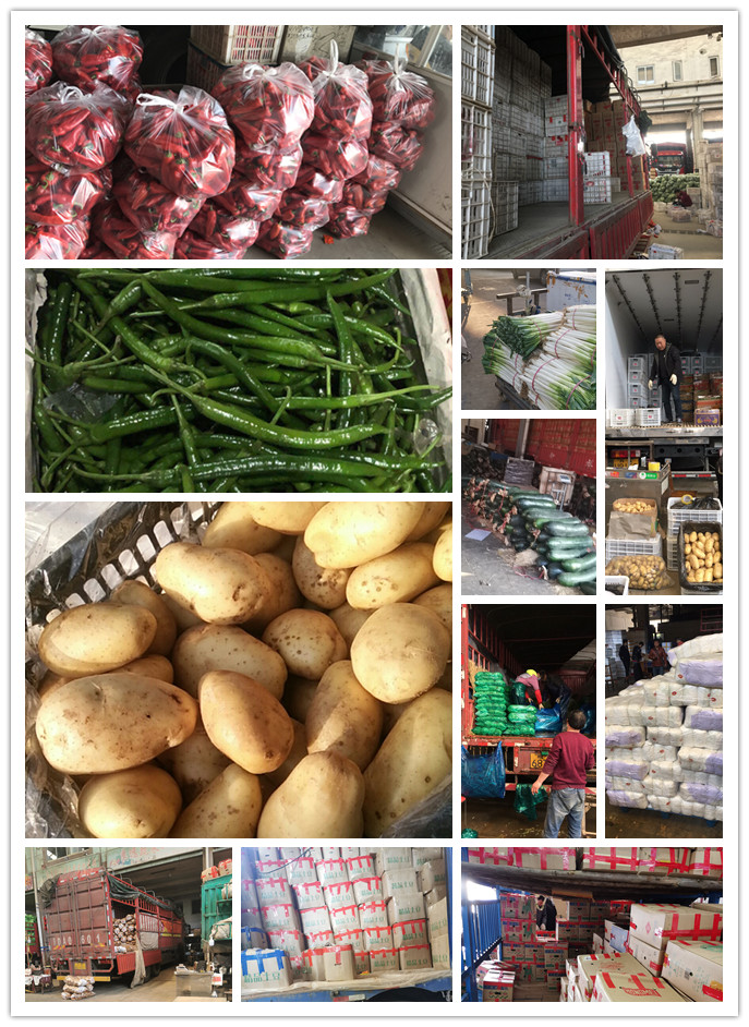 manbet官网-相信品牌力量