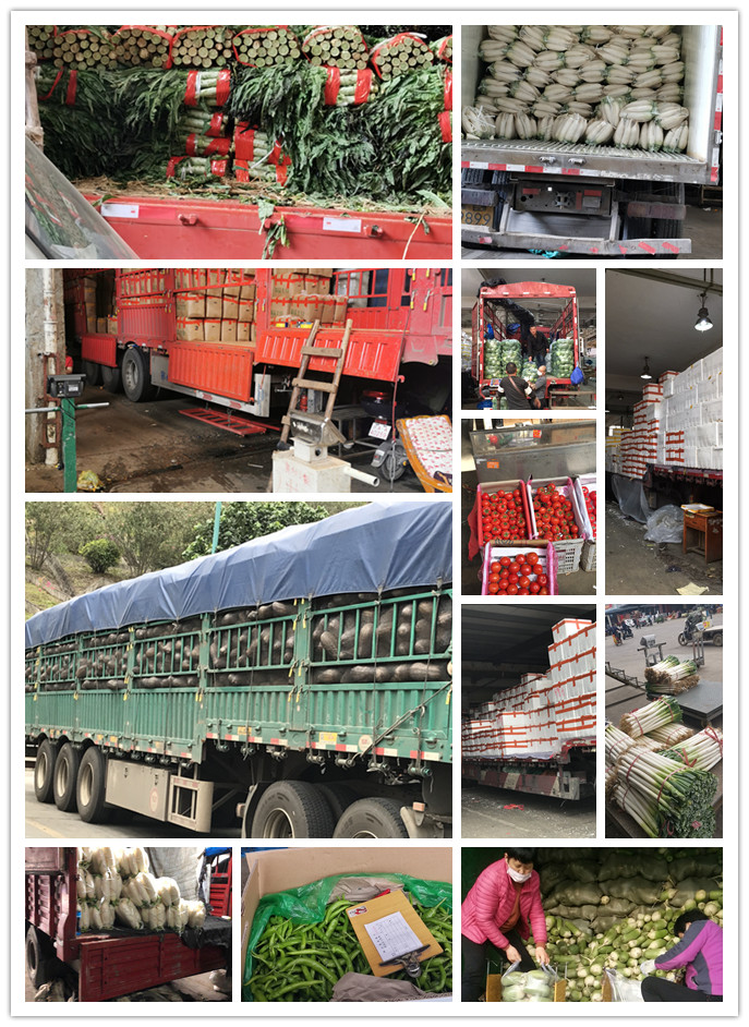 manbet官网-相信品牌力量