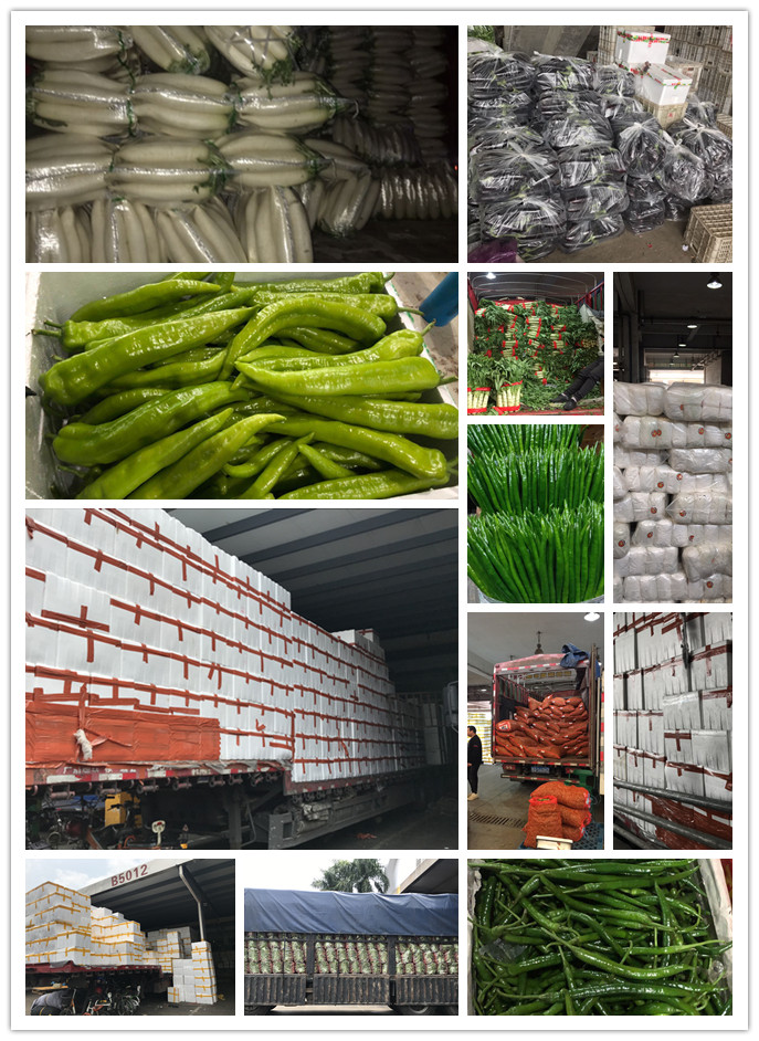 manbet官网-相信品牌力量