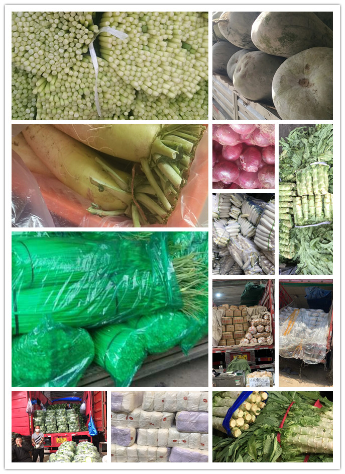 manbet官网-相信品牌力量