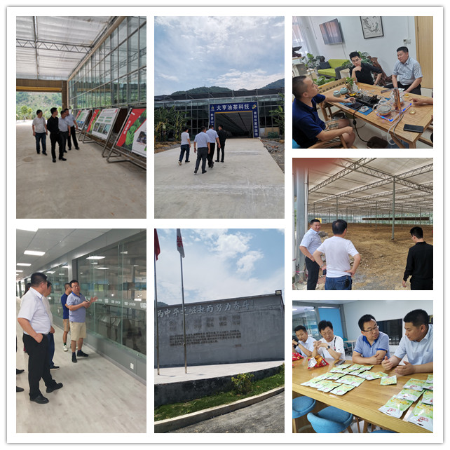 manbet官网-相信品牌力量