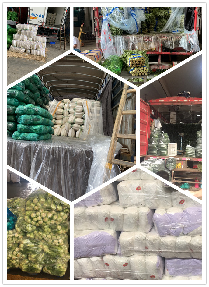 manbet官网-相信品牌力量