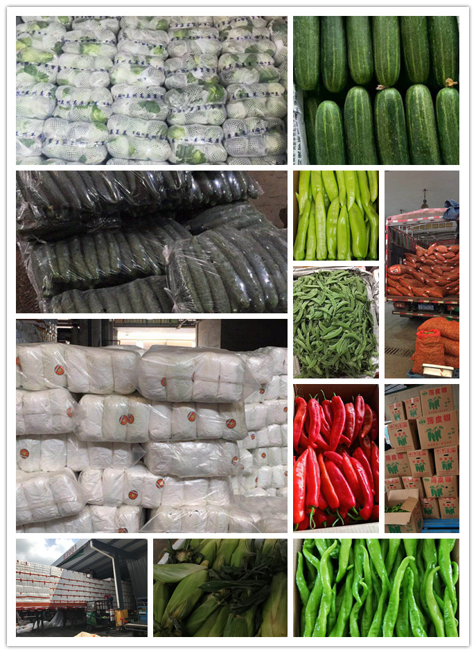 manbet官网-相信品牌力量