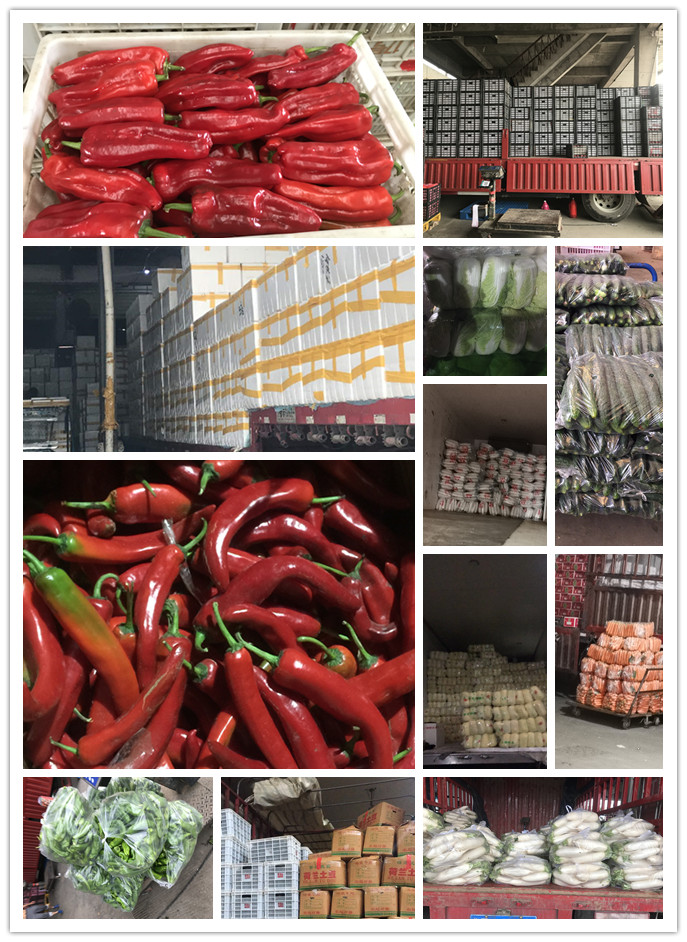 manbet官网-相信品牌力量