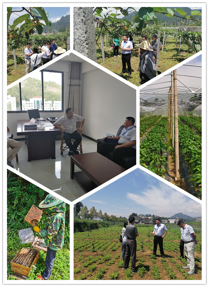 manbet官网-相信品牌力量