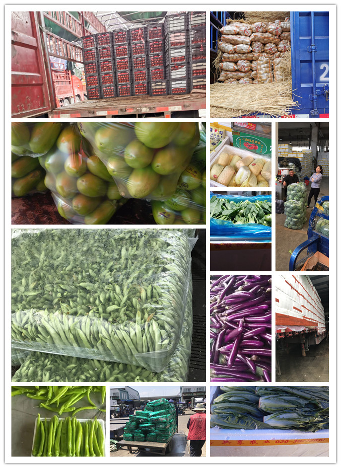 manbet官网-相信品牌力量