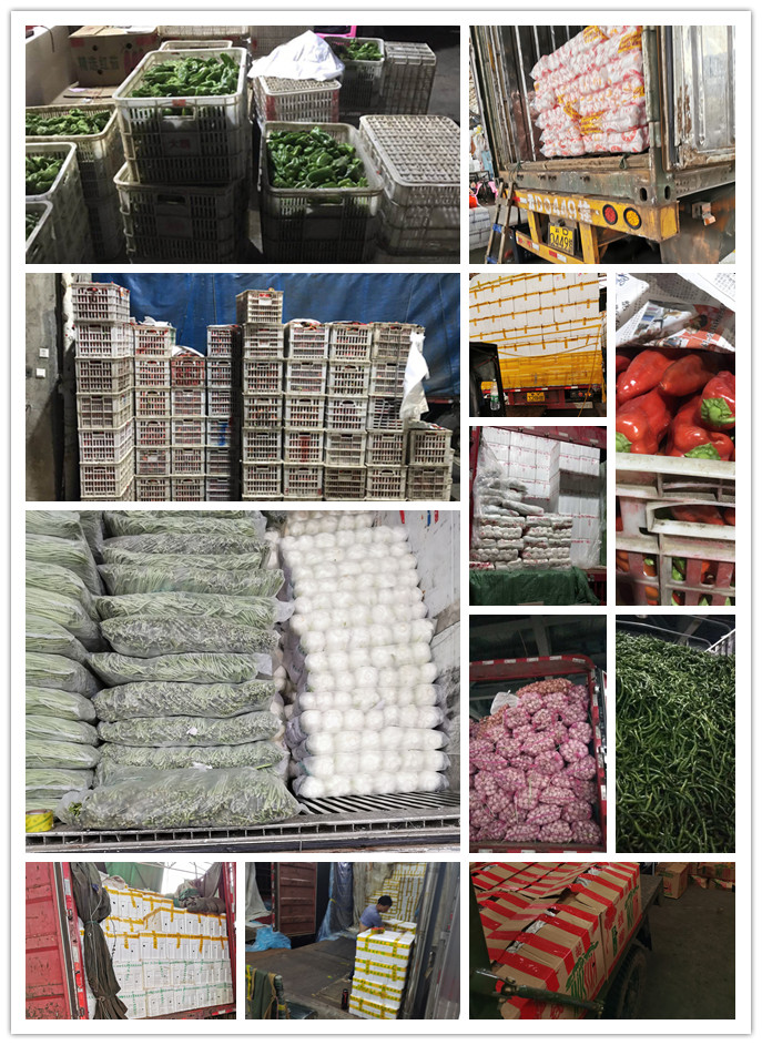 manbet官网-相信品牌力量