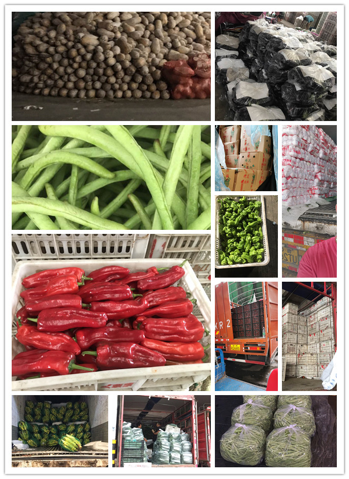 manbet官网-相信品牌力量