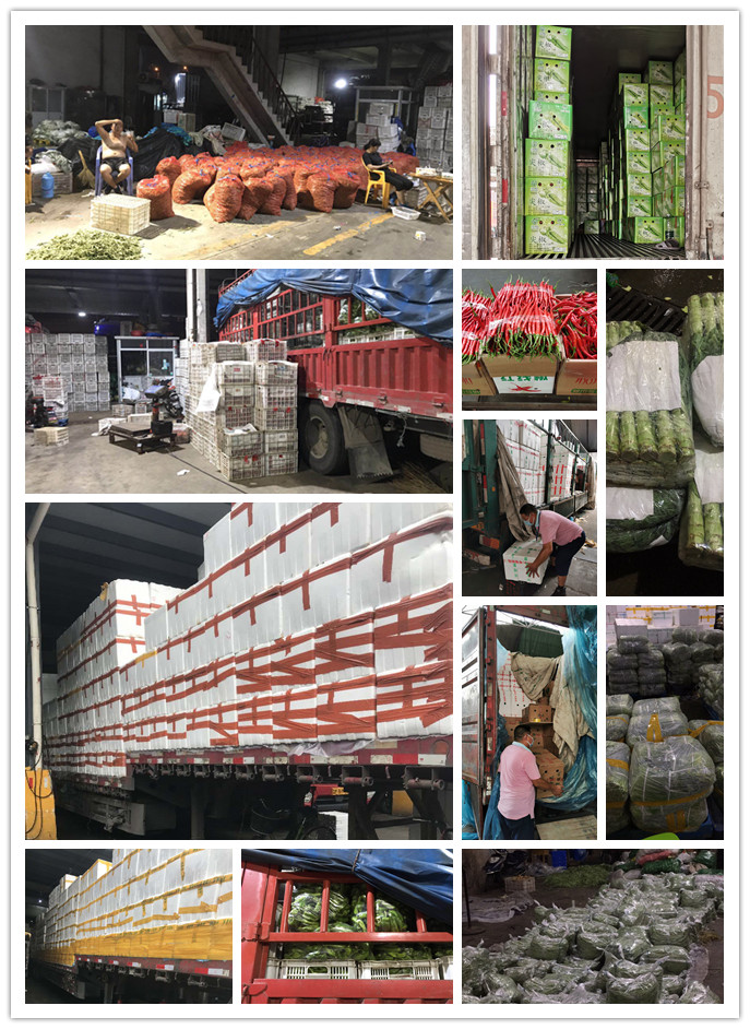 manbet官网-相信品牌力量