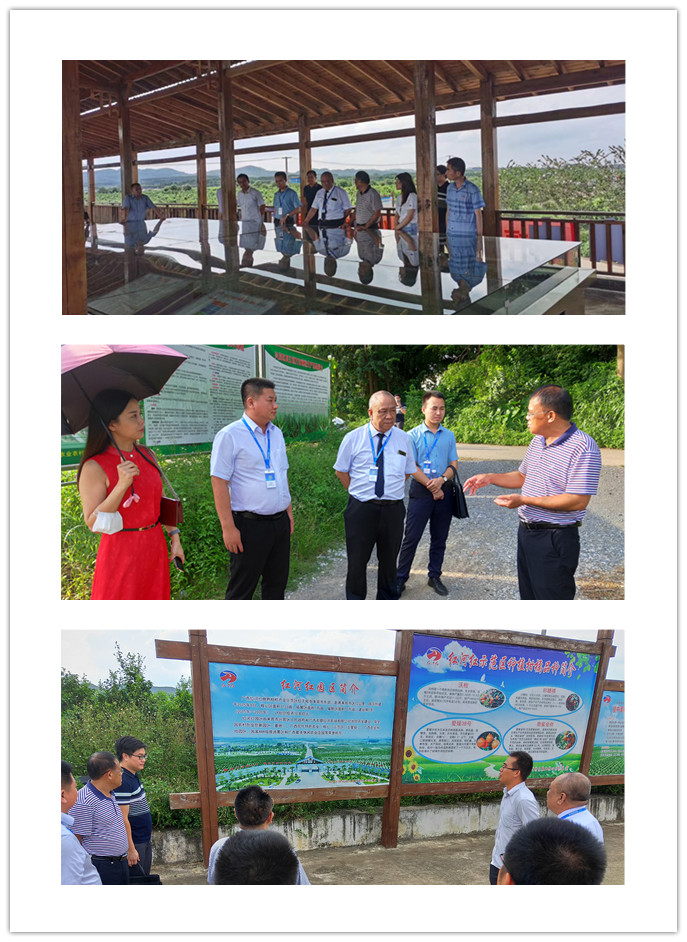 manbet官网-相信品牌力量