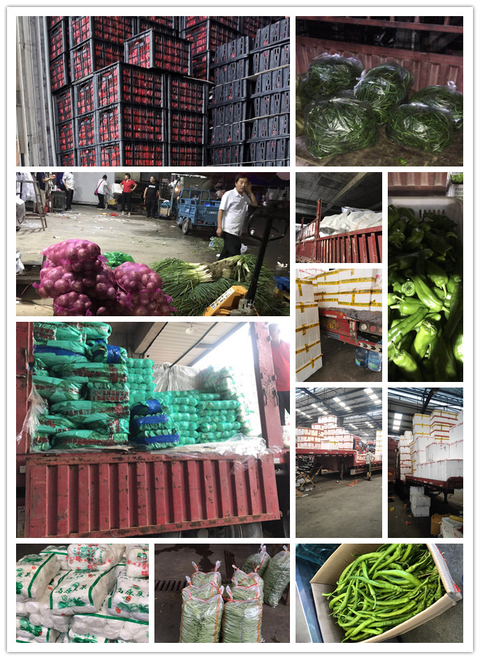 manbet官网-相信品牌力量