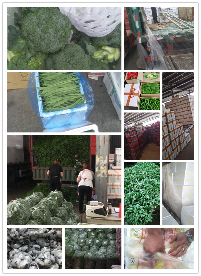 manbet官网-相信品牌力量