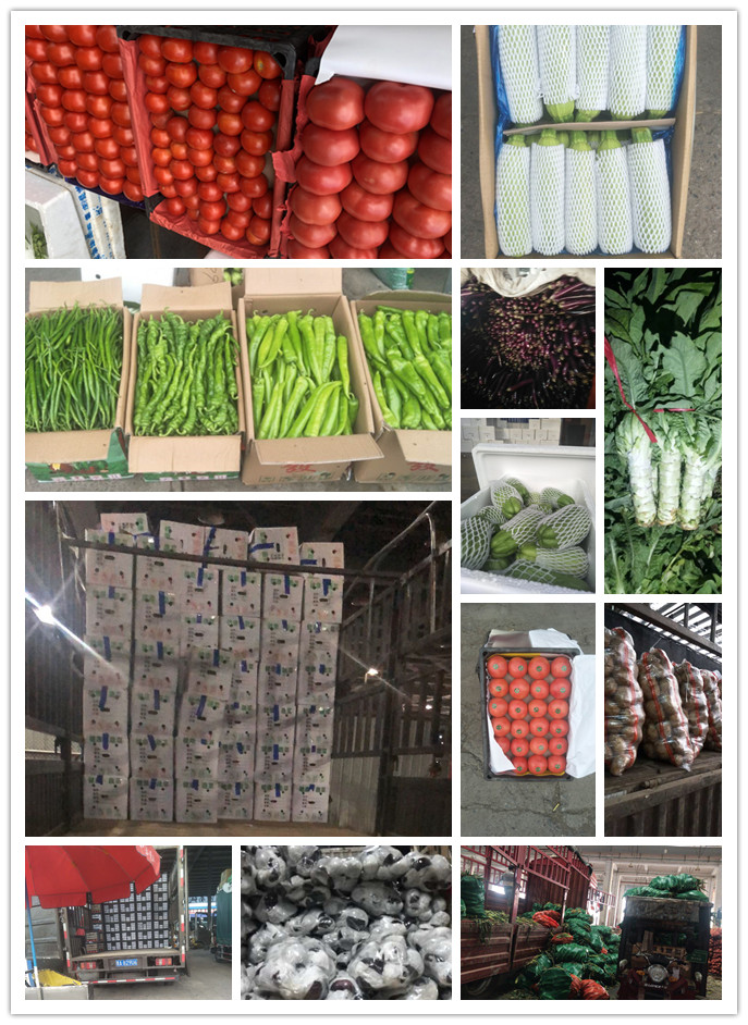 manbet官网-相信品牌力量