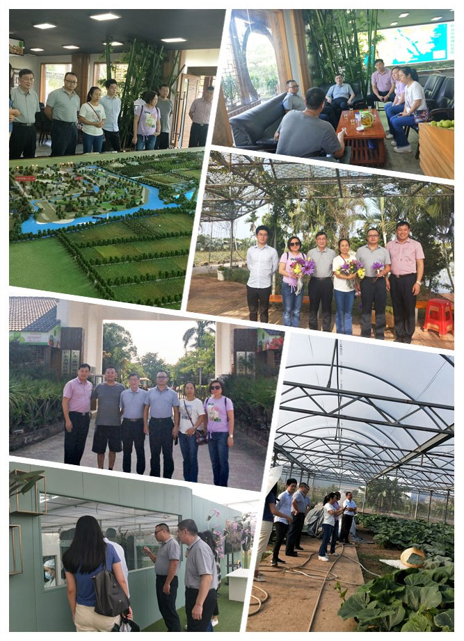 manbet官网-相信品牌力量