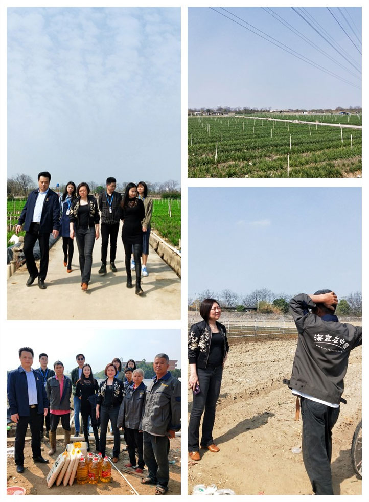 manbet官网-相信品牌力量