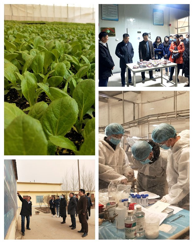 manbet官网-相信品牌力量