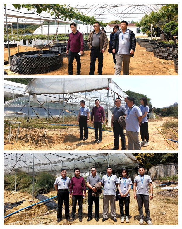 manbet官网-相信品牌力量