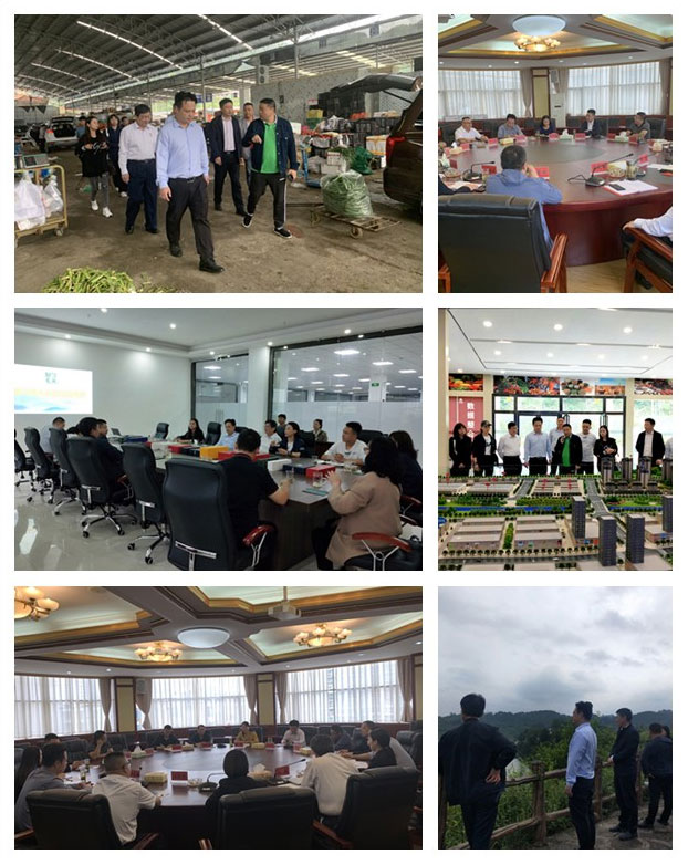 manbet官网-相信品牌力量