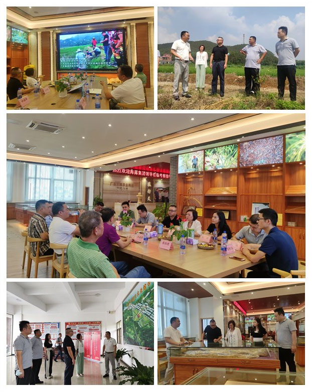 manbet官网-相信品牌力量