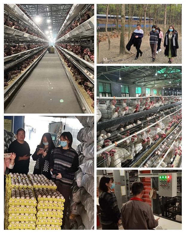 manbet官网-相信品牌力量