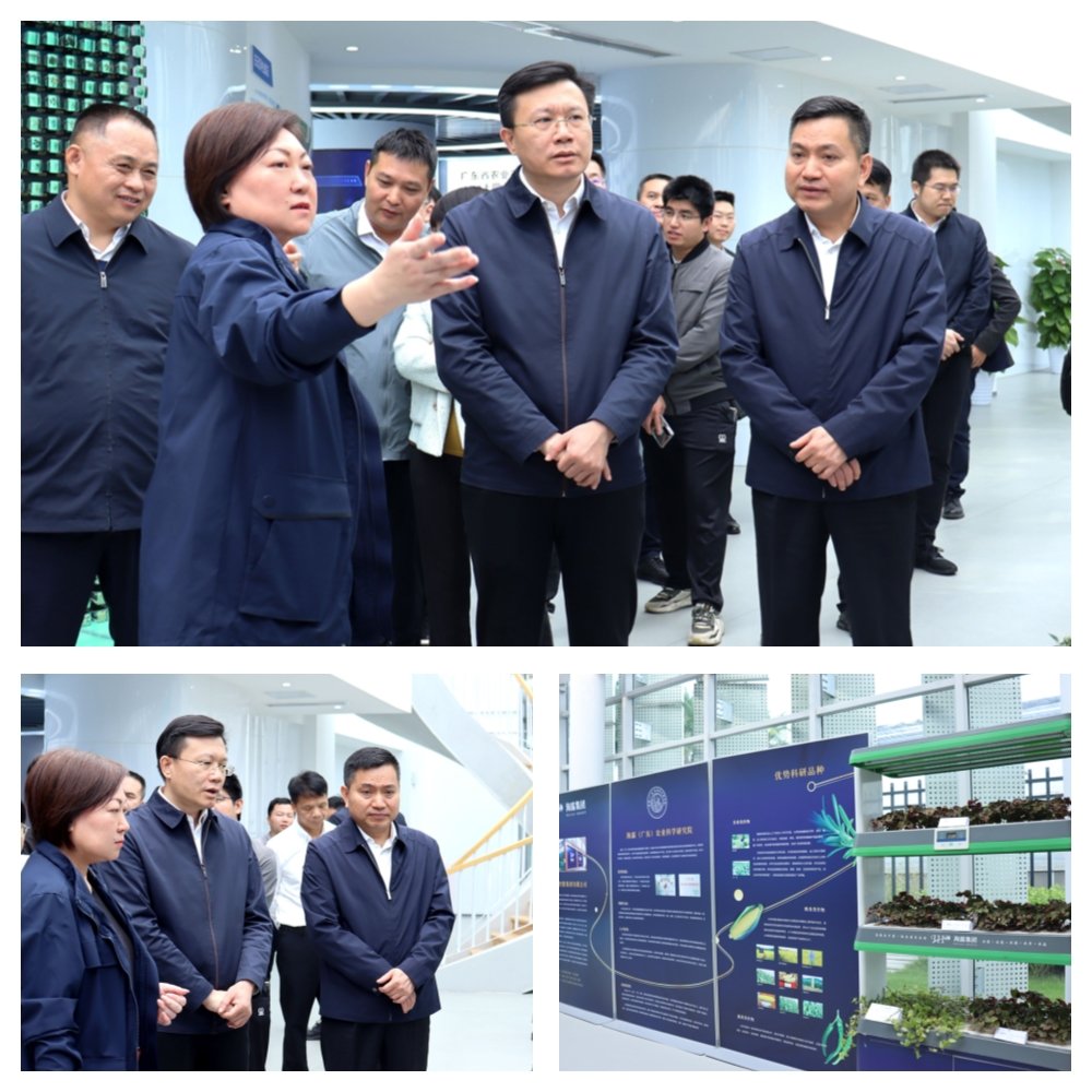 manbet官网-相信品牌力量