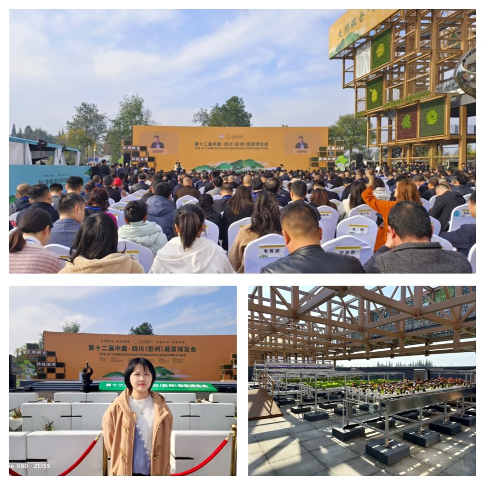 manbet官网-相信品牌力量