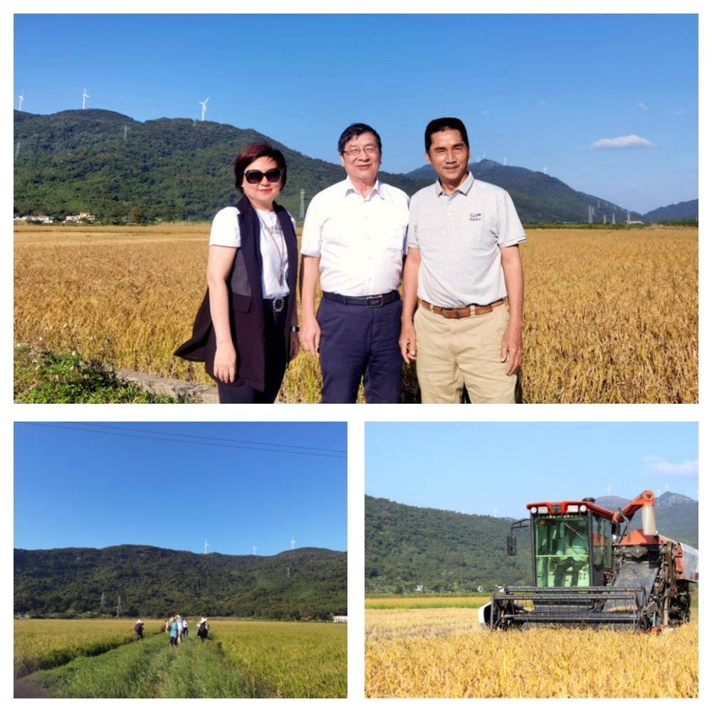 manbet官网-相信品牌力量