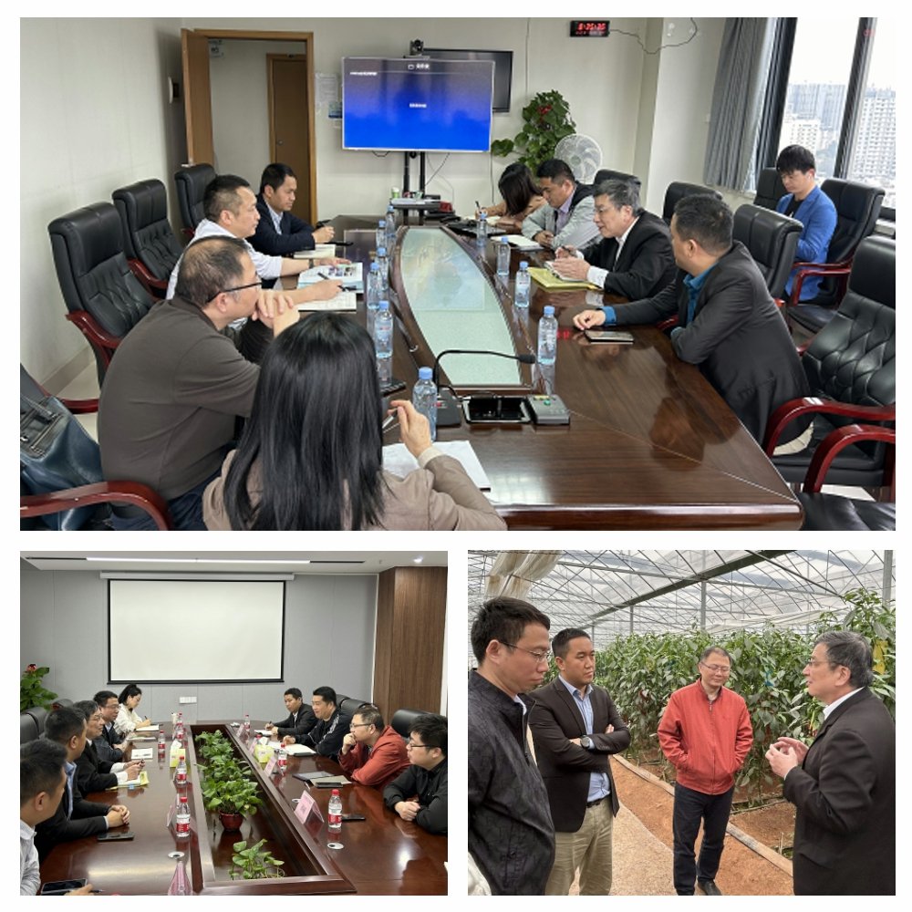 manbet官网-相信品牌力量