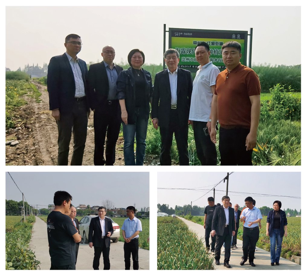 manbet官网-相信品牌力量